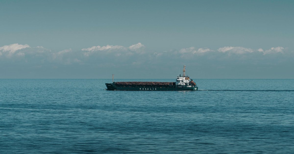 Kreuzfahrttrends 2026: Das ändern Reisende